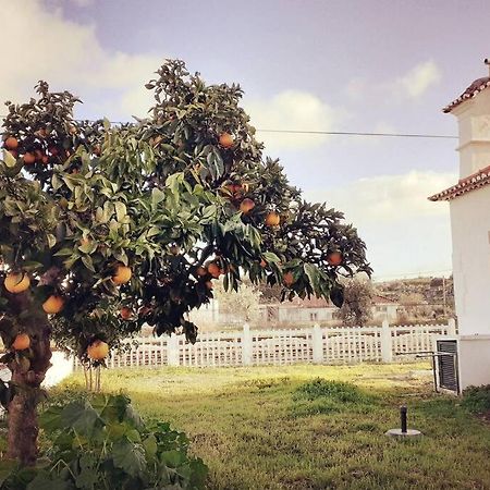 Апартаменти Casa Dos Coracoes - Turismo Regenerativo Beira Екстер'єр фото